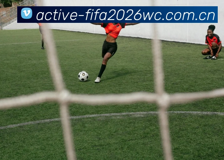 FIFA 官方数据授权认证
